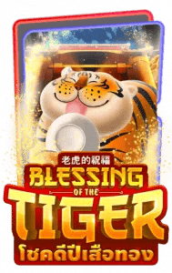 BLESSINGTIGER